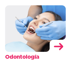 Odontologia